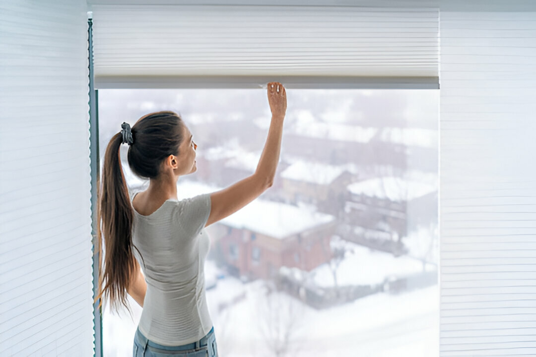 A Beginner's Guide to Different Types of Blinds and Their Uses